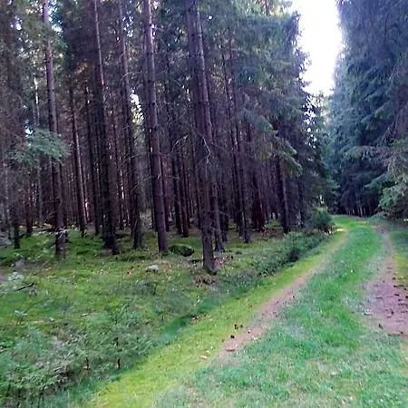 Sonnenhof Litschau