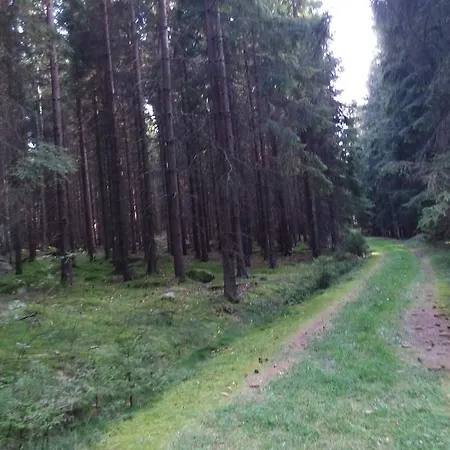 Sonnenhof * Litschau