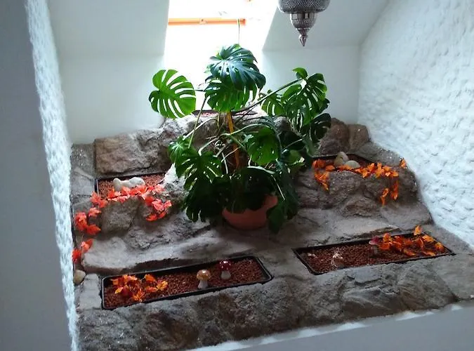 Hotel Sonnenhof Litschau