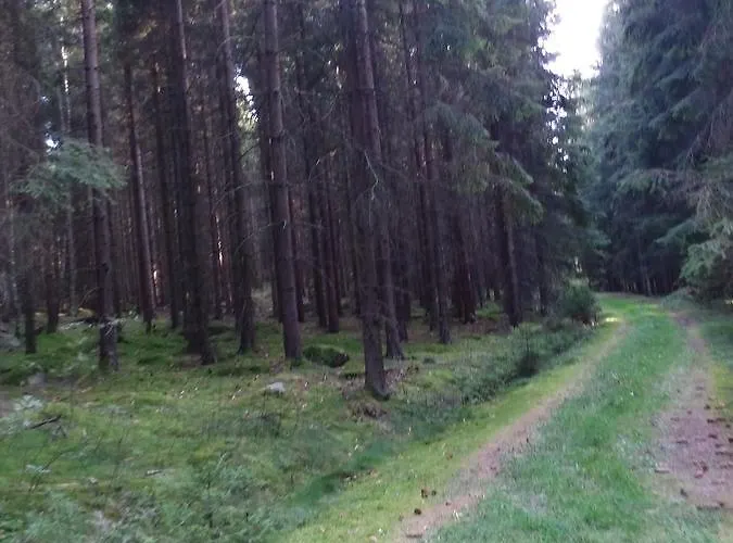 Sonnenhof * Litschau